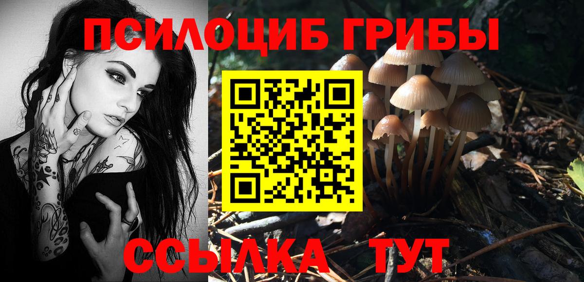 Псилоцибиновые грибы GOLDEN TEACHER  Галлюциногенные грибы ЛСД  Серпухов  Вход с VPN 