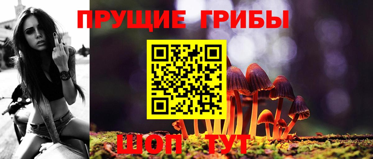 Псилоцибиновые грибы мухоморы Серпухов